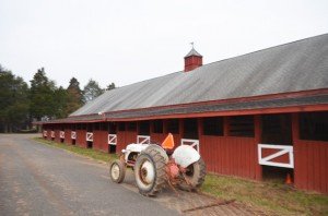 A row of Amish built stables at Silver Eagle. 