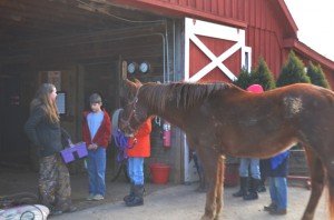 Keiser leads one of the horses into the barn to get cleaned and saddled by the children. 