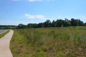 Site along Rollins Ford Road where the new high school may be built. 
