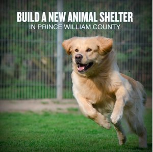 Photo from petition for new animal shelter via Corey Stewart for Chairman. 