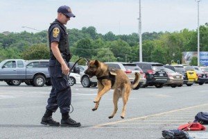 Virginia State Police Officer with Chuy, the explosive detection dog. 