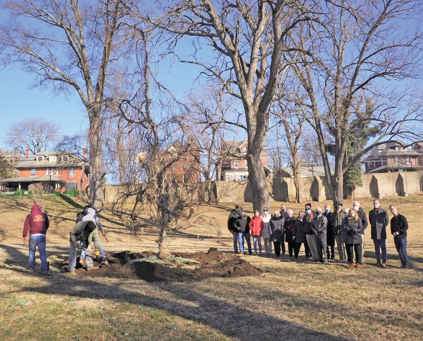 Bucks Beautiful board members held a tree planting March 15, on the grounds of the Mercer Museum. Family and friends look on as planters put the final touches around the 20-foot-tall weeping green beech. Byers, who died Dec. 21, 2020, was co-founder of Bucks Beautiful, the organization that planted more then a million daffodils along highways and around businesses in the area.