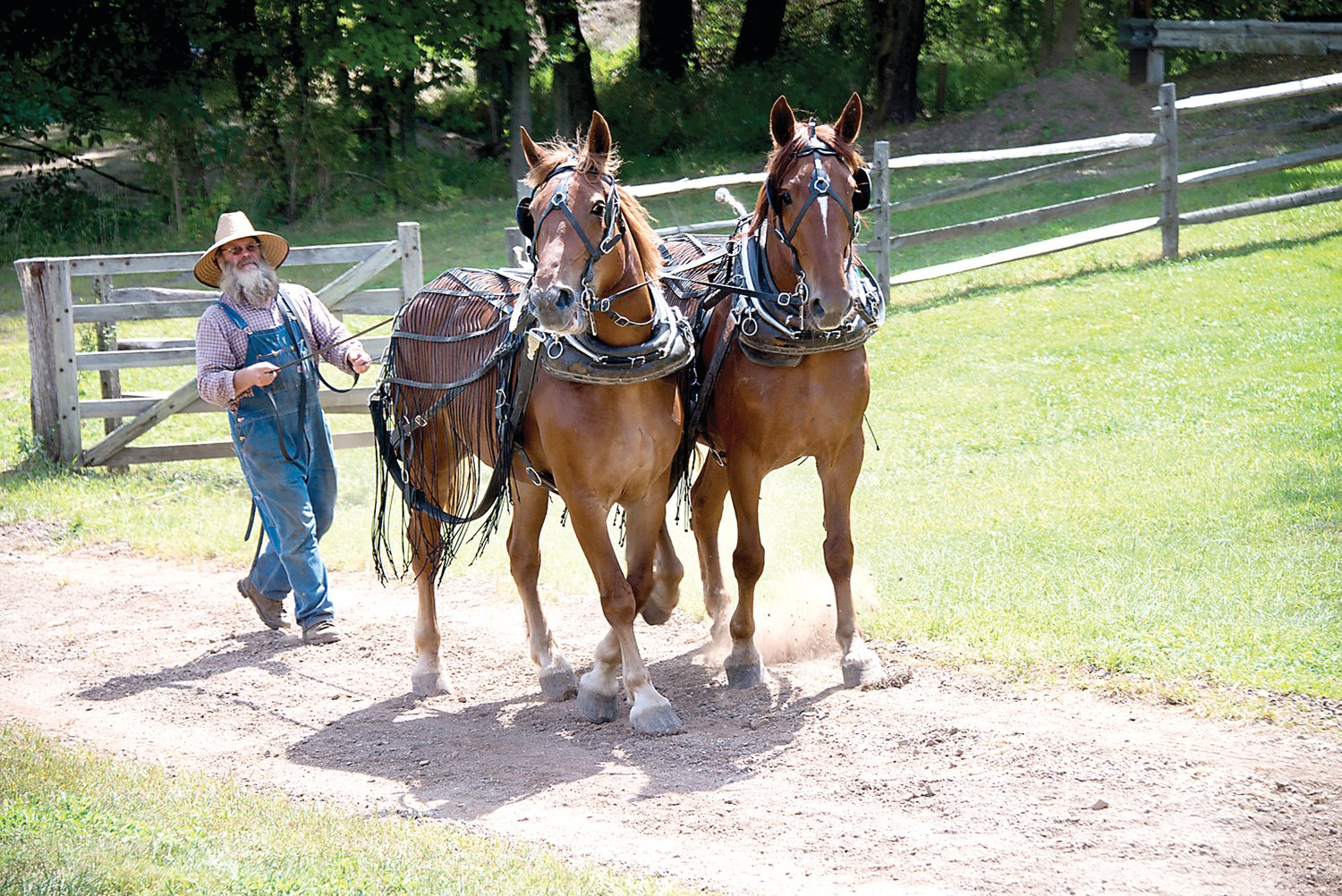 Set for plowing | The Bucks County Herald