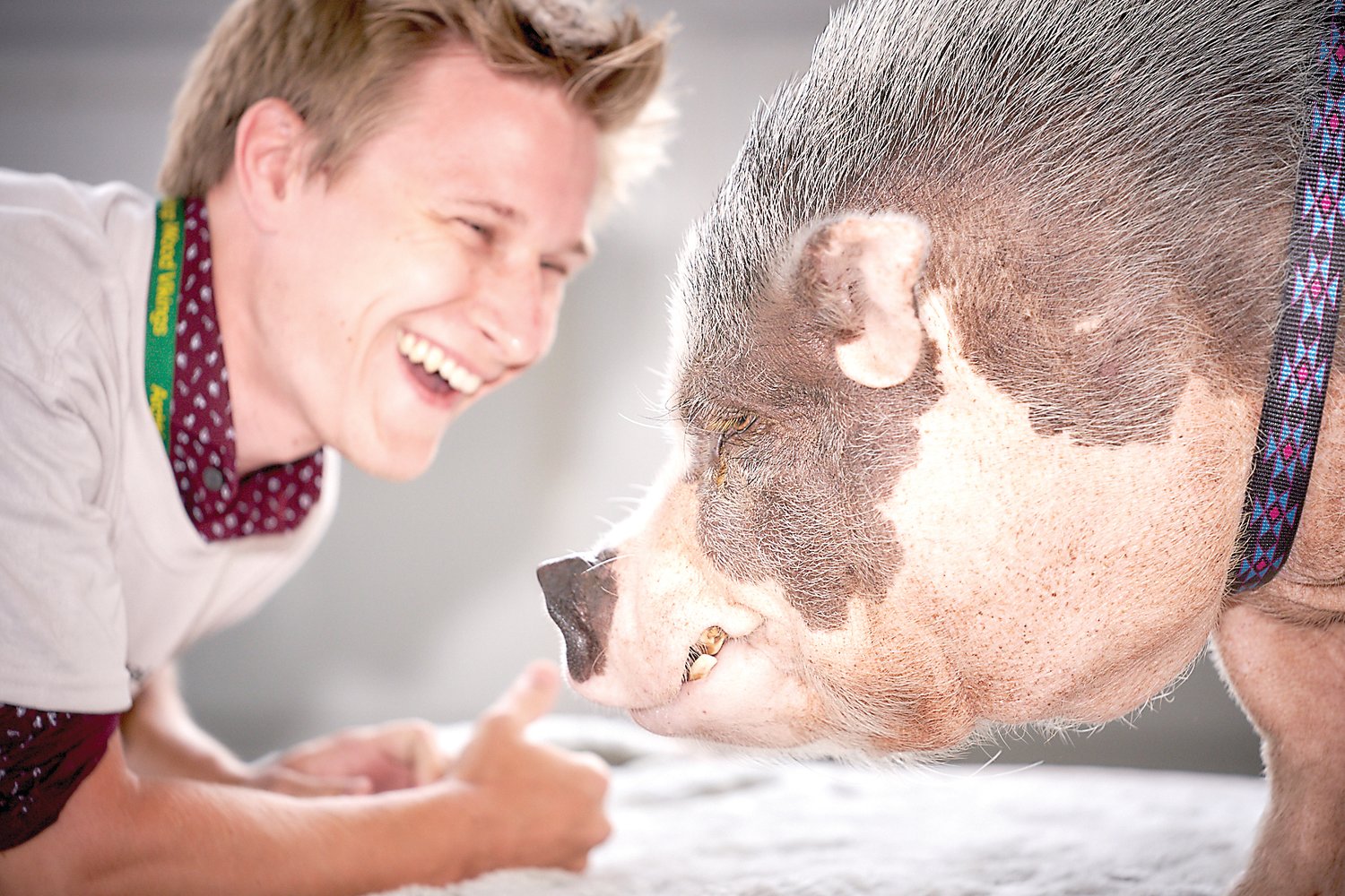 Steven Waskie, a teacher at Archbishop Wood High School in Warminster,  puckers up with Raines the potbellied pig for a good cause. Photograph courtesy of Hy Paul Photography.