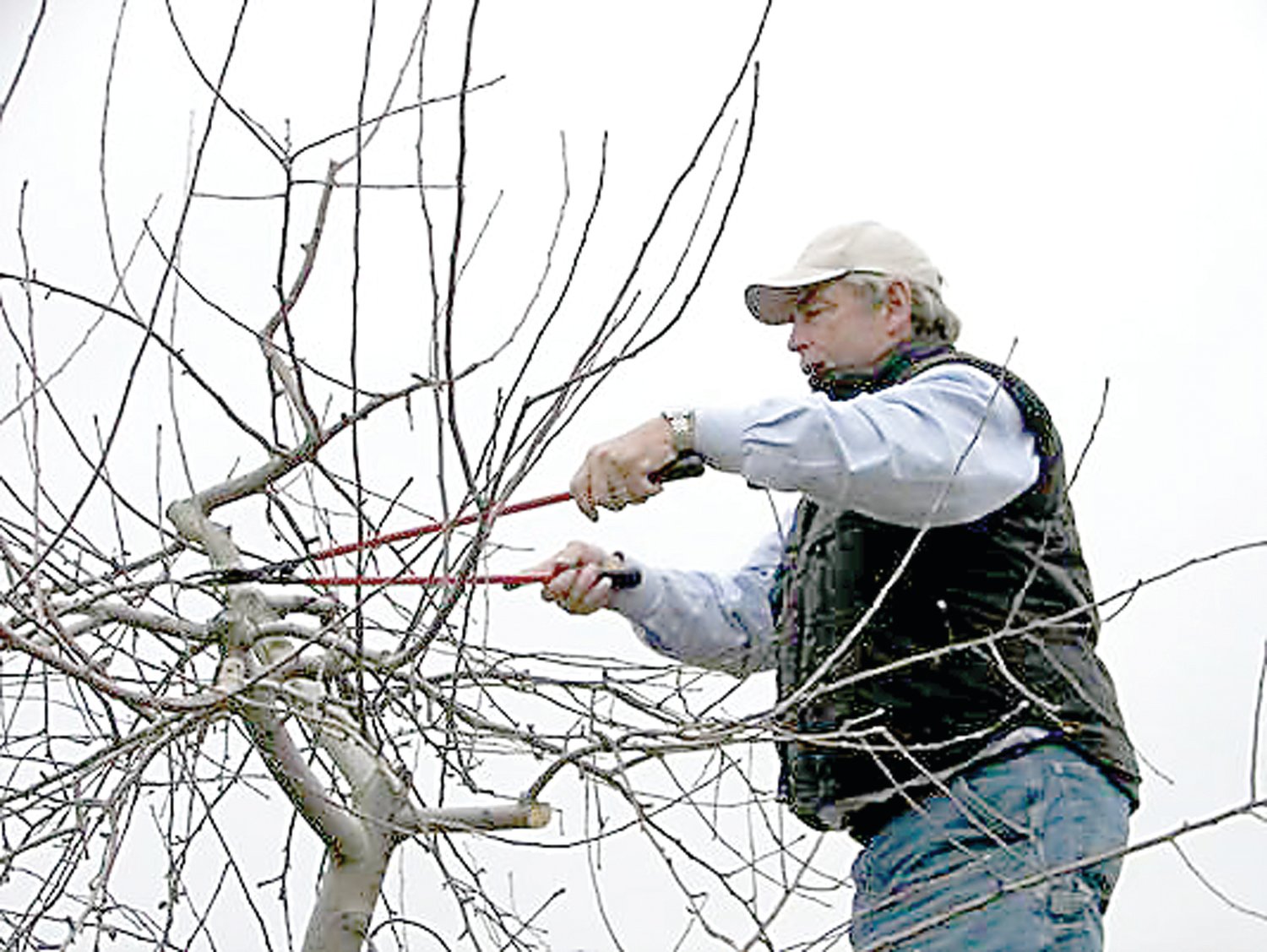 Terhune Orchards hosts annual pruning class.