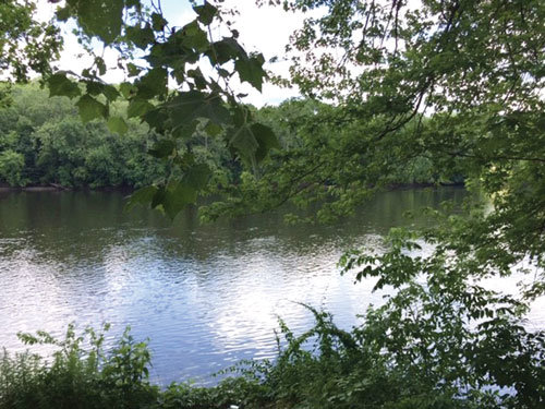 The Delaware River, enclosed by green on a cloudy summer day. Photograph by Kathryn Finegan Clark.