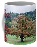 “Columbus tree” on a coffee mug is a photograph by Jack Rosen.