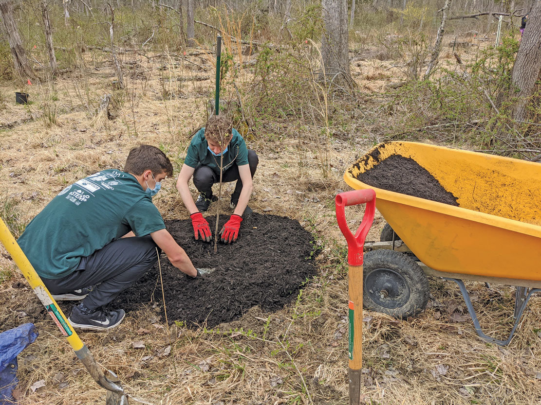 Palisades High School students use the skills they learned from Master Watershed Steward volunteers to plant the young trees and protect them with mulch and tree cages.