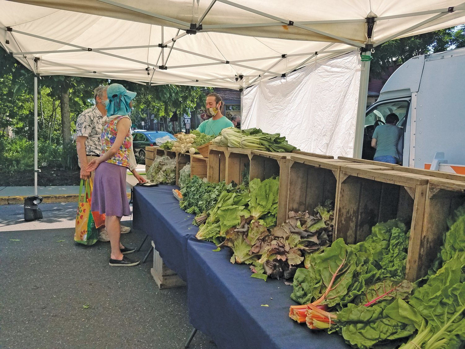 Fresh greens ranging from spinach to Swiss chard to lettuces were an impressive array at the Love Grows CSA stand at last Saturday’s Doylestown Farmers Market.