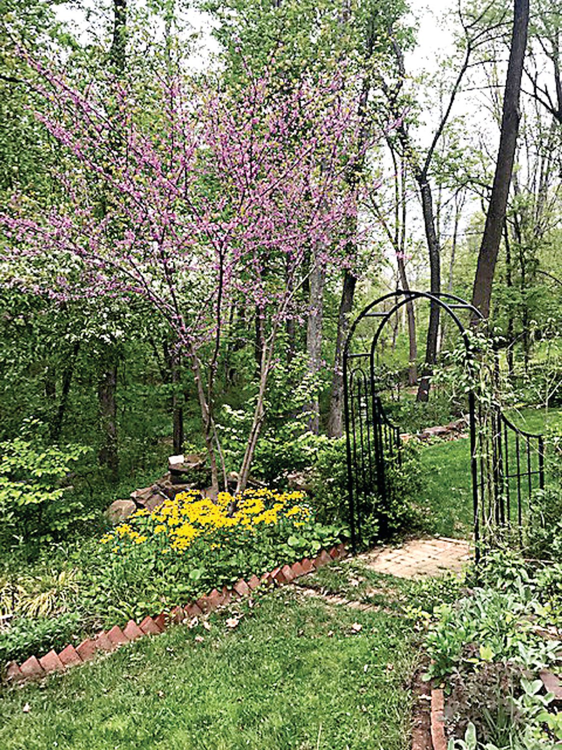 The garden path was featured on the 2018 “Designed for Nature” Garden Tour. This year’s event takes place June 19.