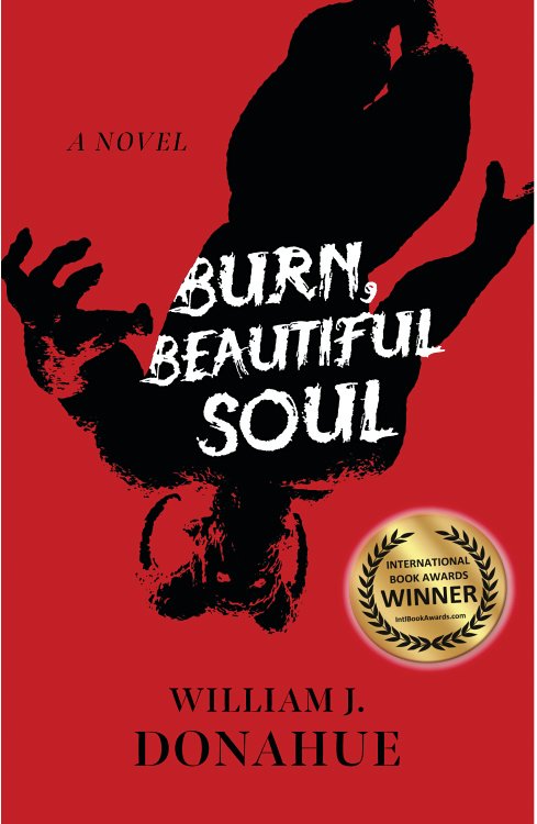 The cover of “Burn, Beautiful Soul” with the IBA logo.