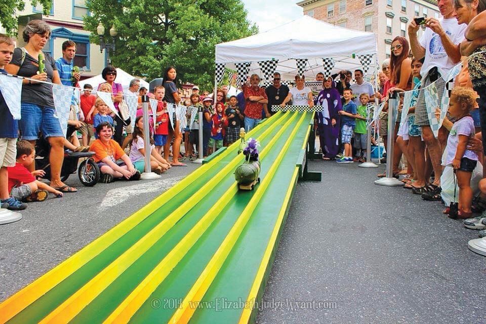 Racers and spectators watch a previous Zucchini 500 race car zoom down the track.