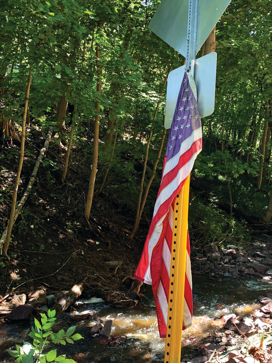 American flag stuck on a road sign off York Street, Lambertville, N.J.