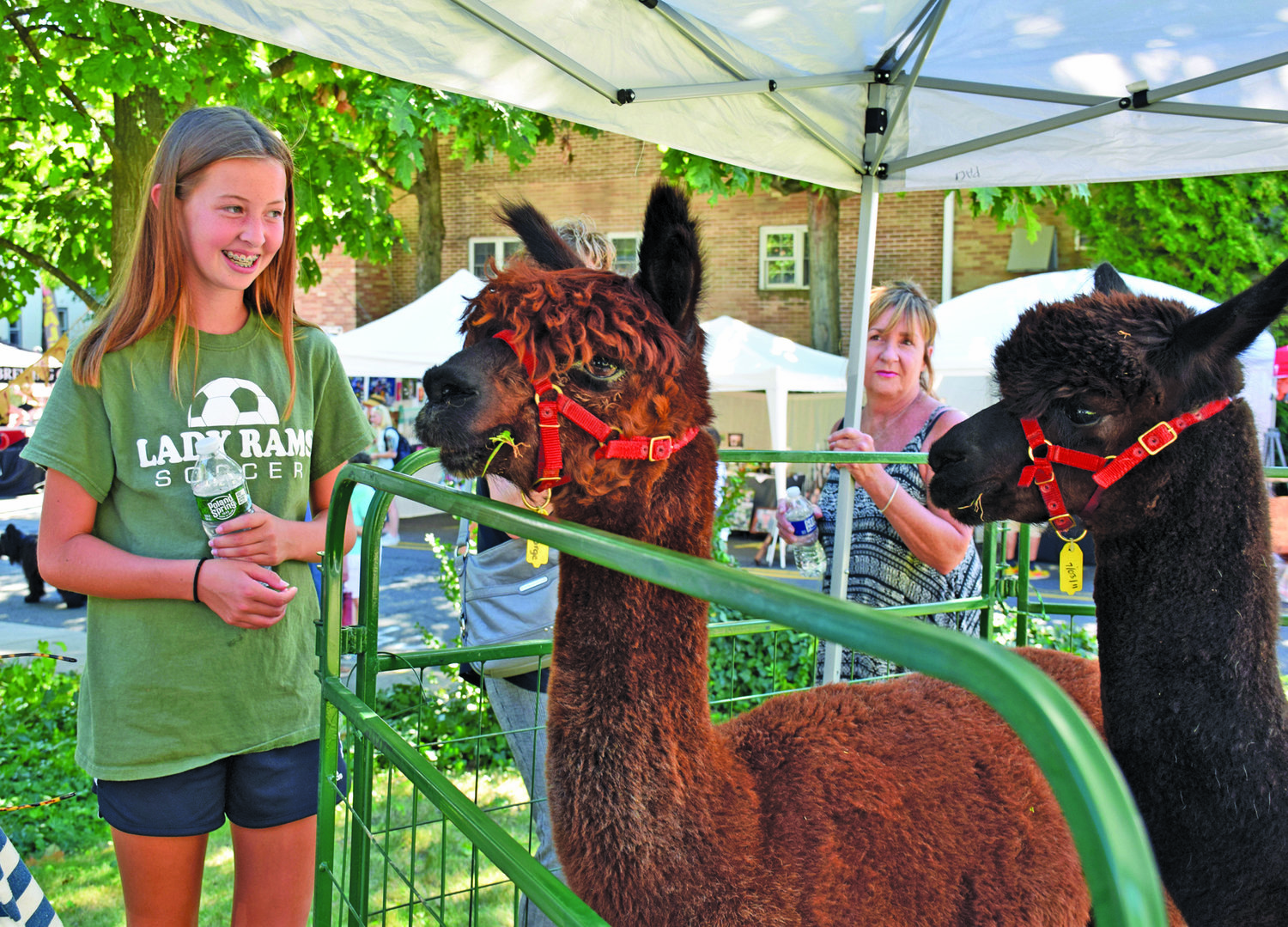 Alyssa Burke, a seventh grader from Hilltown hangs out with Duke and George of Bucks Co. Alpaca Farm.