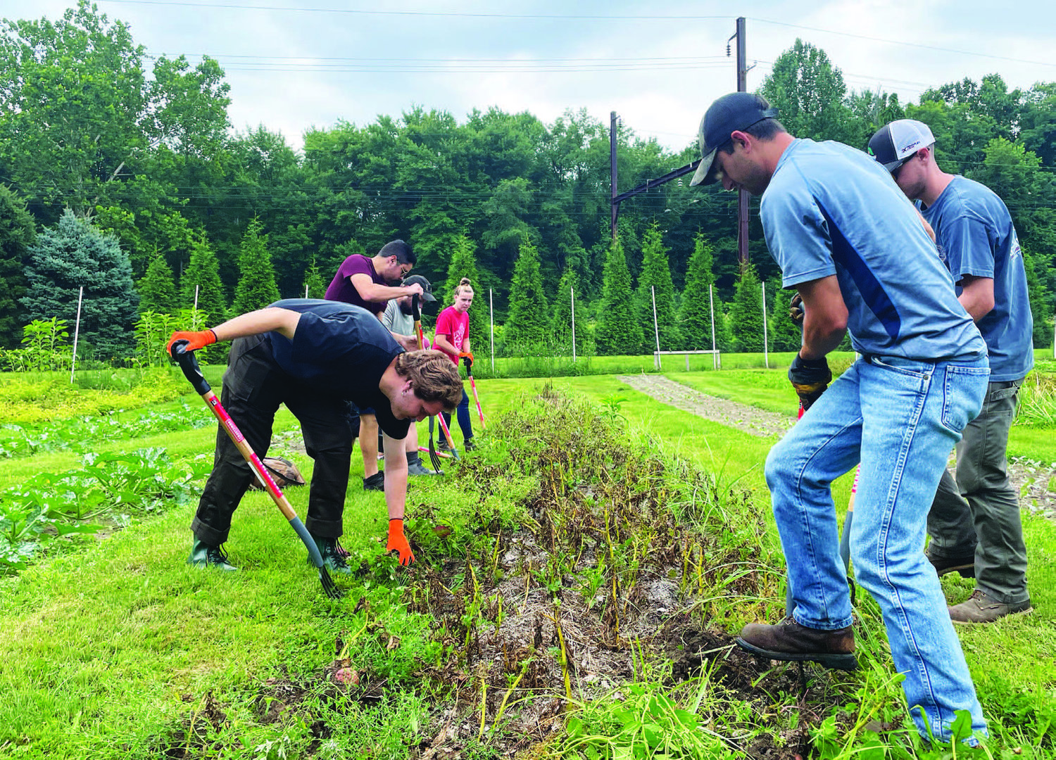 August: Delaware Valley University students help harvest produce at Promised Land Organic Farm in Yardley. All the food will be given to the Penndel Food Pantry in honor of Jackie Hansen, co-owner and operator of the farm.