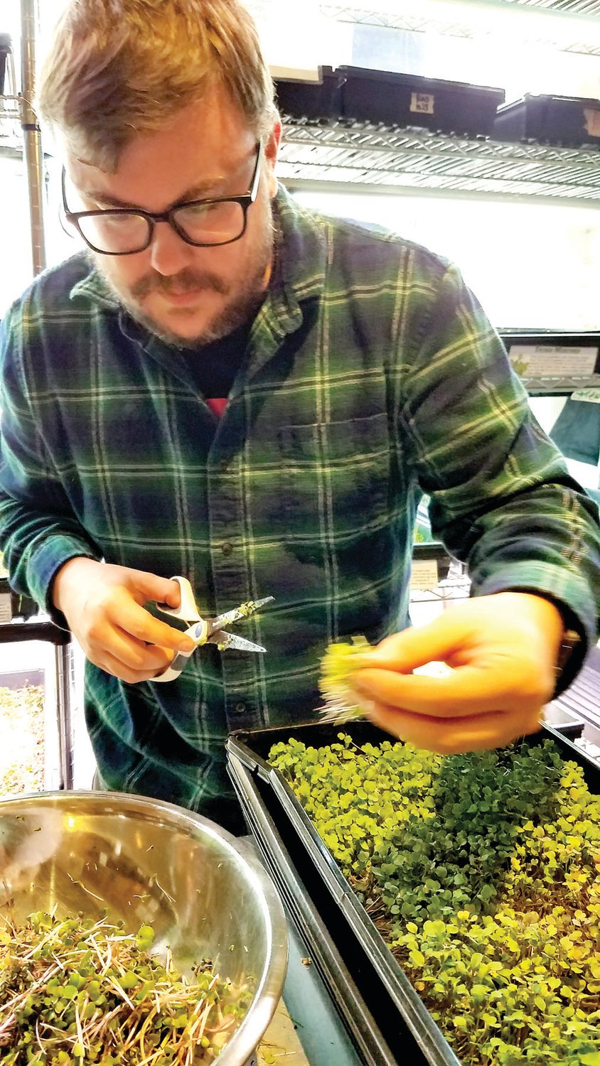 Robert Gerenser trims microgreens at his stand at the Stockton Farmers Market in Stockton, N.J.