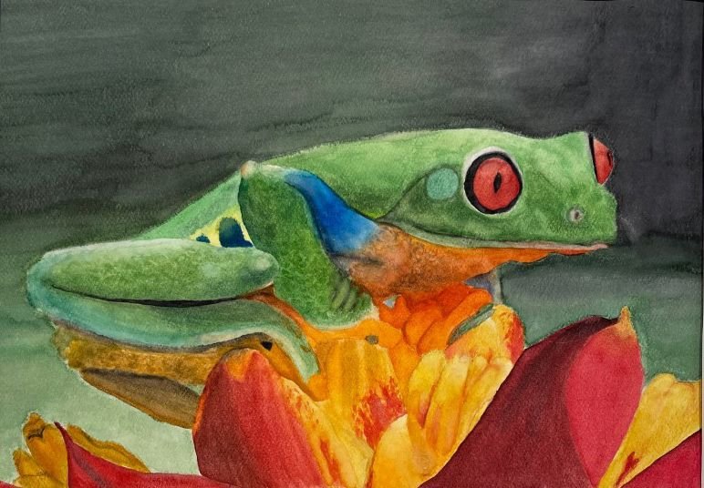 “Frog” by Mia Sermarini of Neshaminy High School is a watercolor on paper.