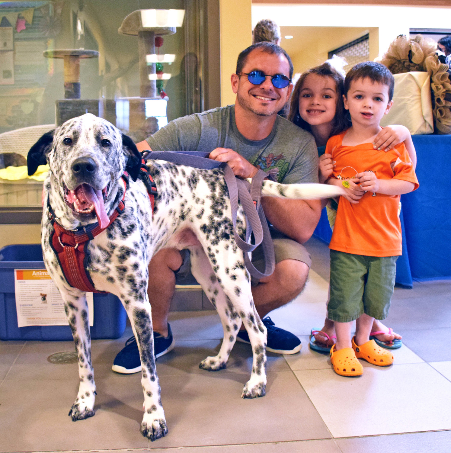 Marshall, a dalmatian mix bought at the Quakertown Shelter 2yrs ago- Jeff, Loda with Addie & Eddie Fevig-Loda of Center Valley.
