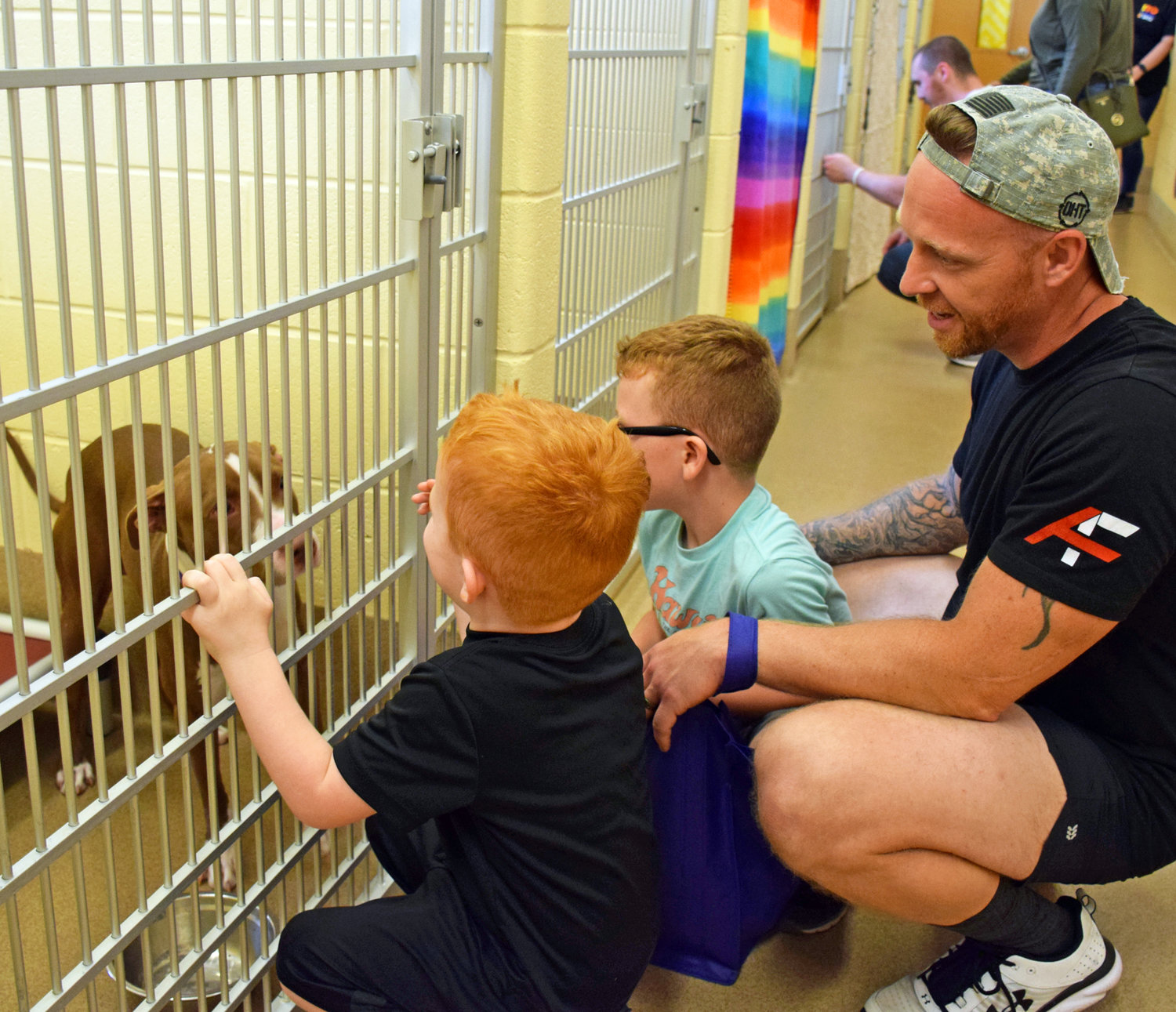 Alex, Alexander and Conor Fillman visit Teddy, a 10-month-old terrier/red nose pitbull mix.
