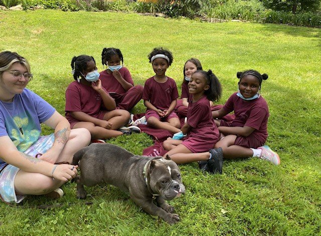 Keystone Academy second graders, an American Bulldog Rescue volunteer and one of ABR’s rescues.