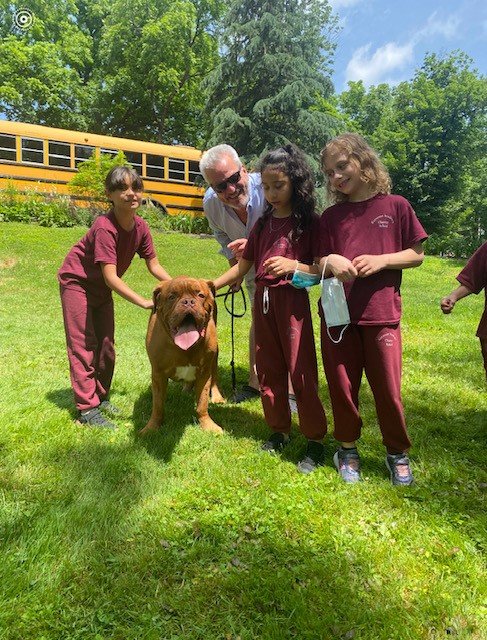 Keystone Academy second graders meet a Dogue de Bordeaux rescued by ABR.