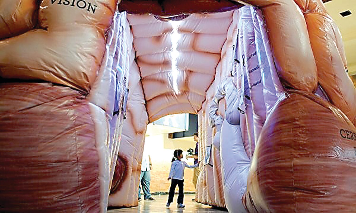 The 12-foot-high inflatable MEGA brain will be on display at the Doylestown branch of the Bucks County Free Library 10 a.m. to noon June 30. Families can walk through the brain to learn about the human brain.