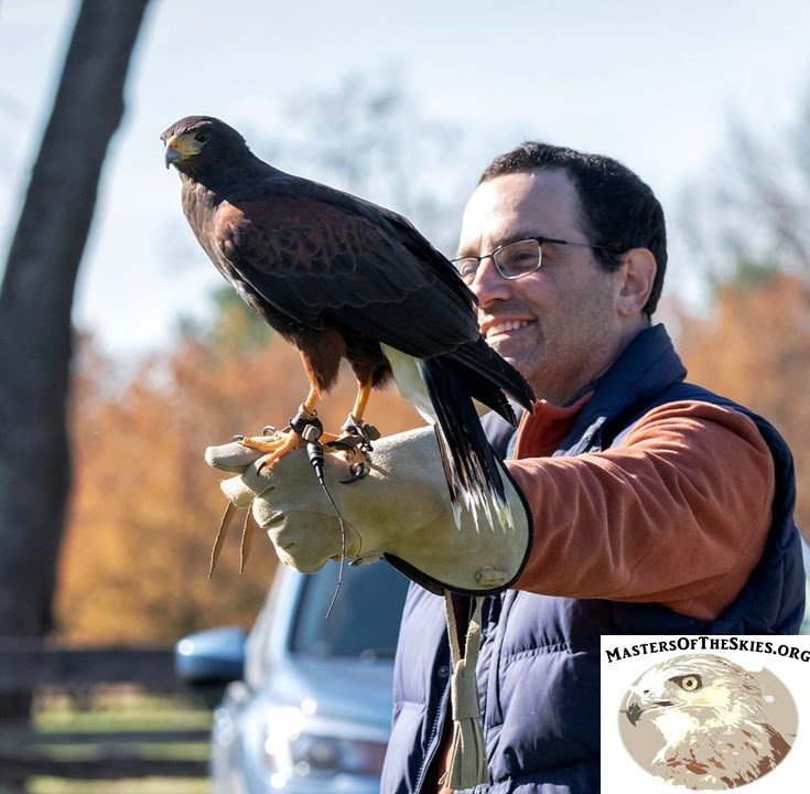 Greg Wojtera holds one of his many raptor friends.