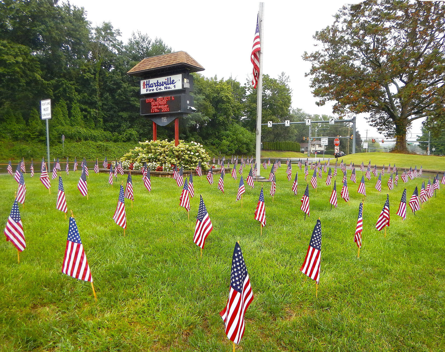 Hundreds of American flags adorn the lawn at Hartsville Fire Company.