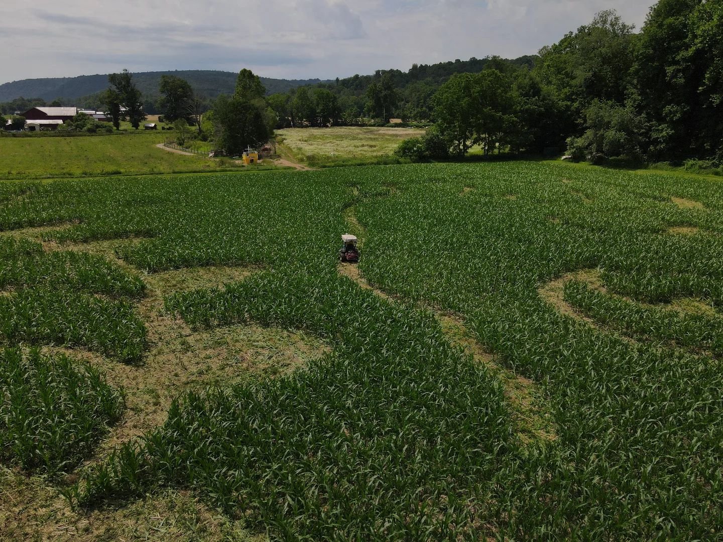 The Corn Maze Guy
