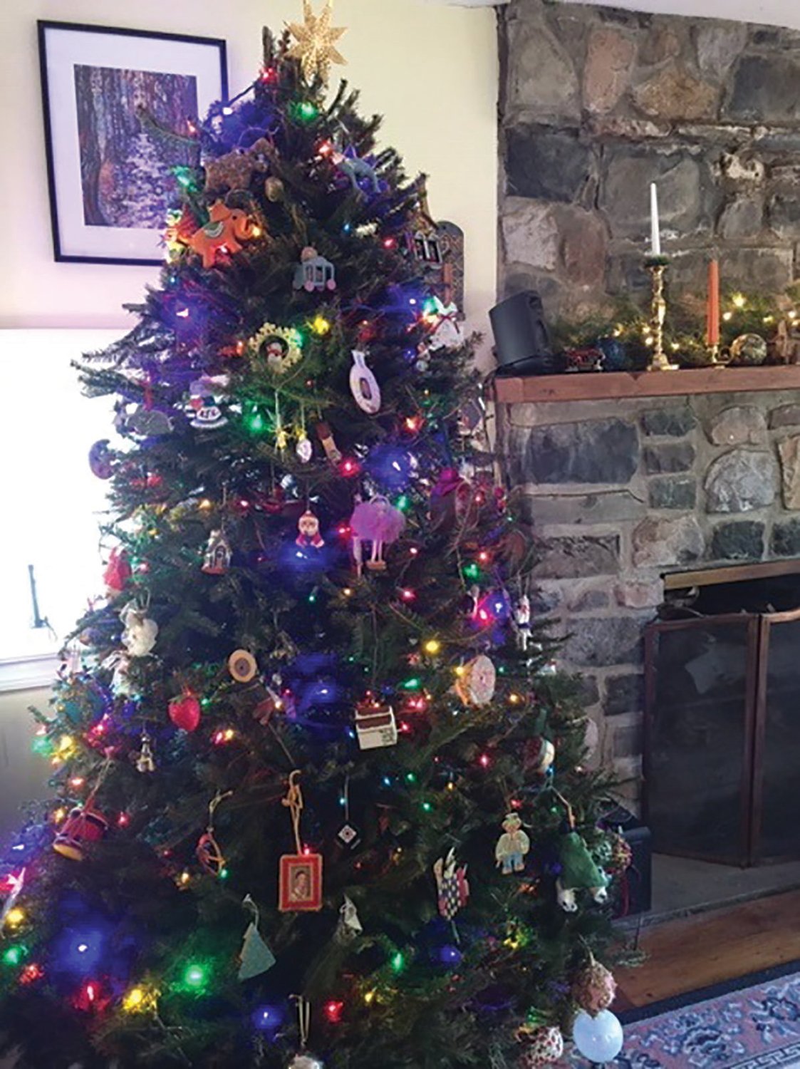 The Clark house is filled with the scent of Norway spruce.