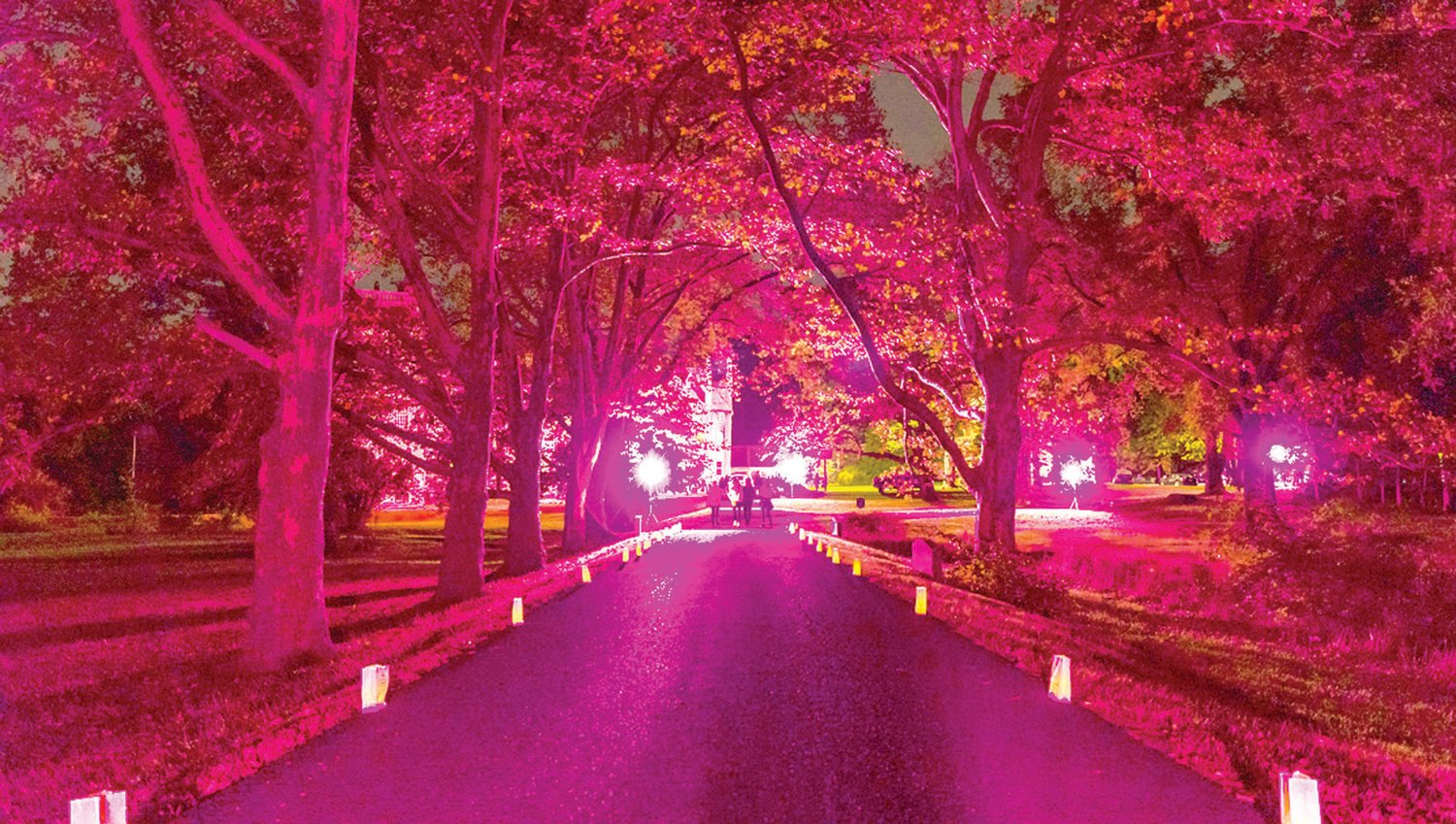 Pine2Pink celebrates the launch of its fifth year with an award ceremony and a luminary stroll at Fonthill Castle, which has turned pink for local breast cancer patients and their families.