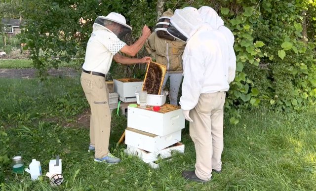 Students in Dr. Vince Aloyo’s 2022 Bucks County Beekeepers Association Intermediate Class assist in a full hive inspection.
