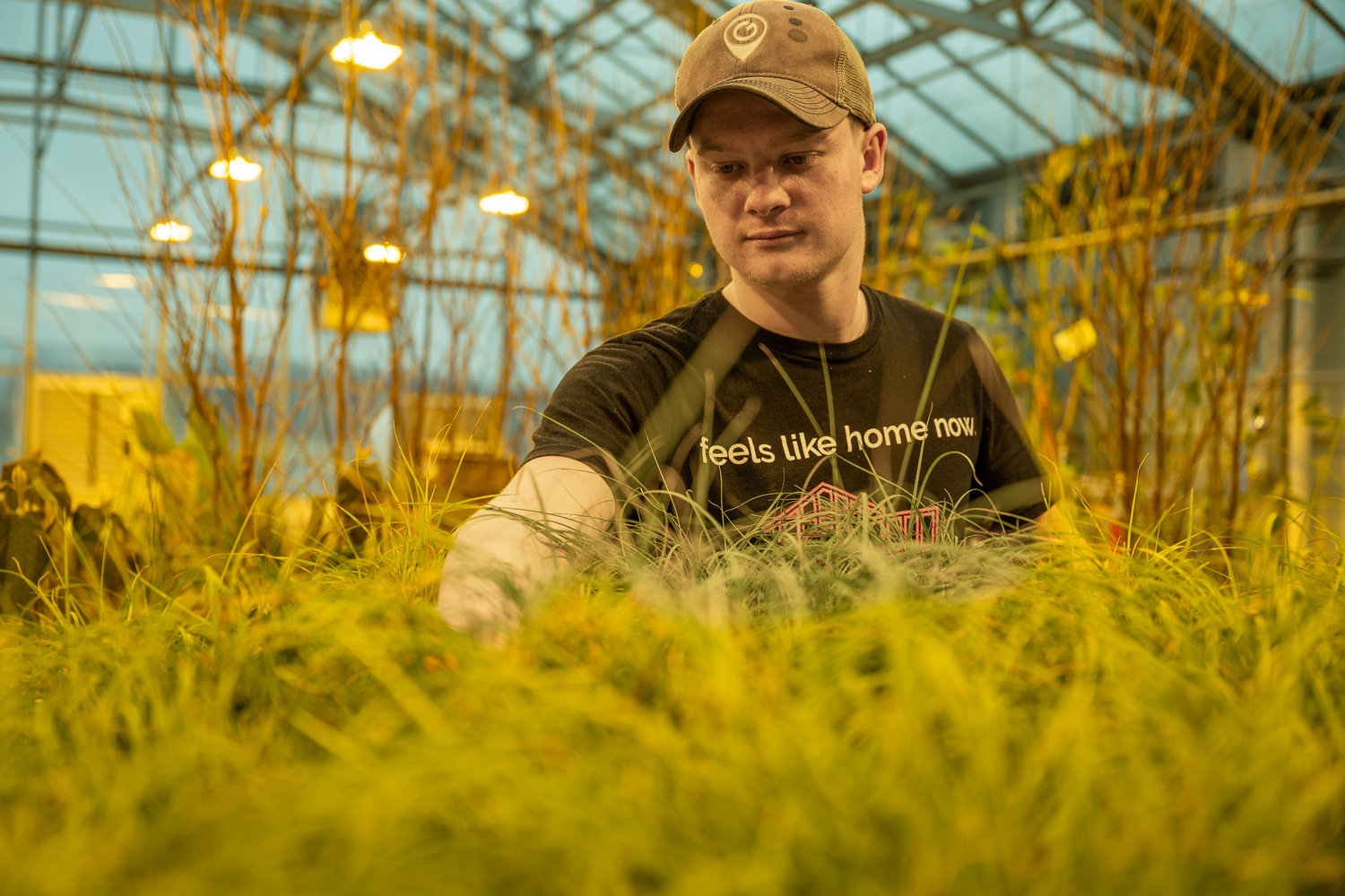 Landscape Architecture major Braden Gobrecht works in the greenhouse at Delaware Valley University. in the weeks before the Philadelphia Flower Show. Delaware Valley University has been taking part in the show for more than 50 years.