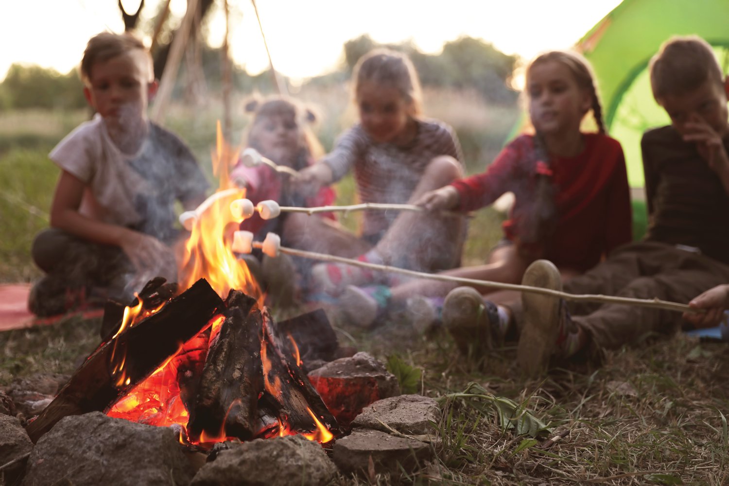 Little children frying marshmallows on bonfire.