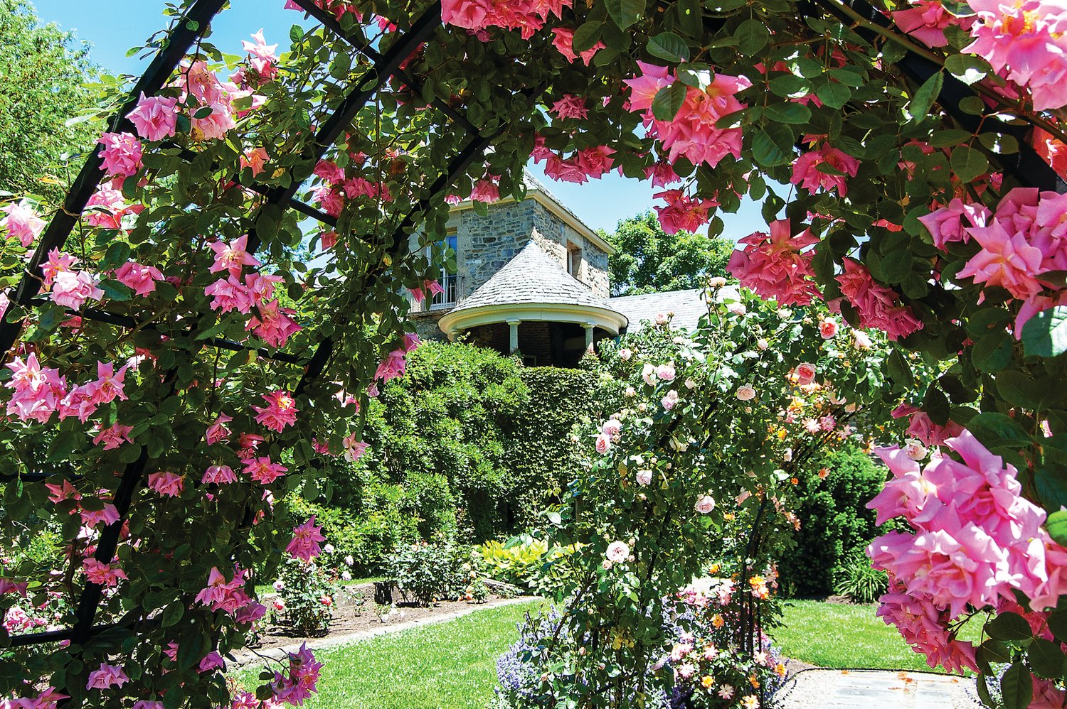The Rose Garden at Andalusia was in full bloom in May 2020. The former Biddle family estate opens for the season April 1.