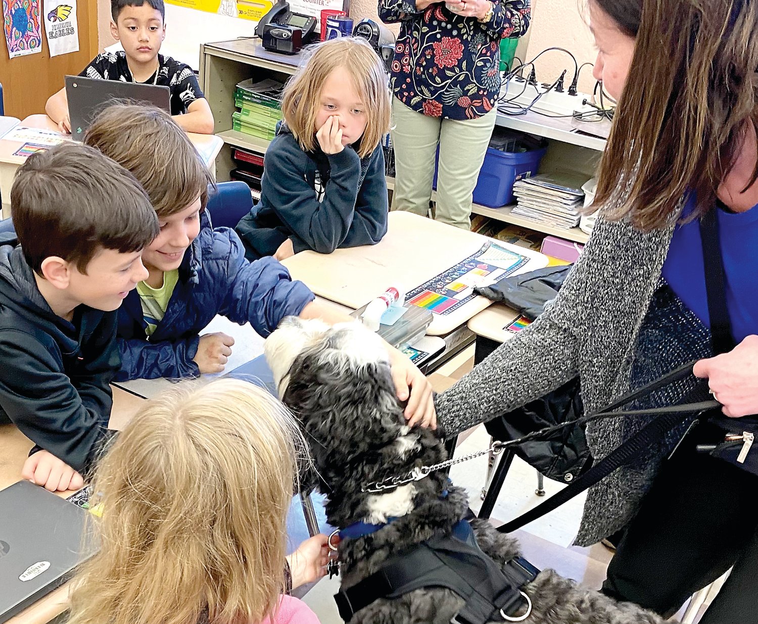 Quakertown Elementary School students enjoy their time with Ozzie, a Bernedoodle.