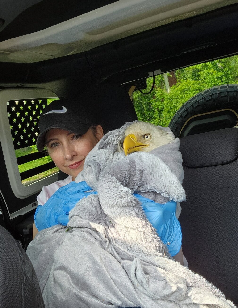 Eunice Brindza, of Warminster, holds the injured Solebury Bald Eagle in her husband Mark’s Jeep while awaiting help from Aark.