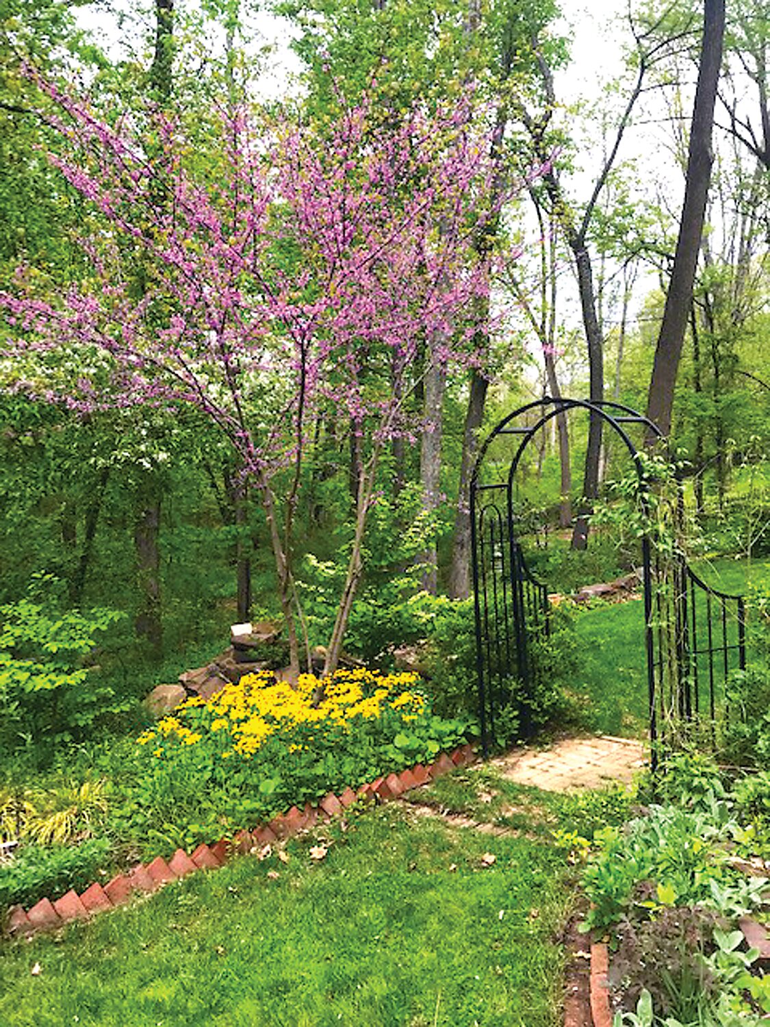This garden path was featured on a previous “designed for Nature” Garden Tour. The tour, showcasing native plants, returns June 17.