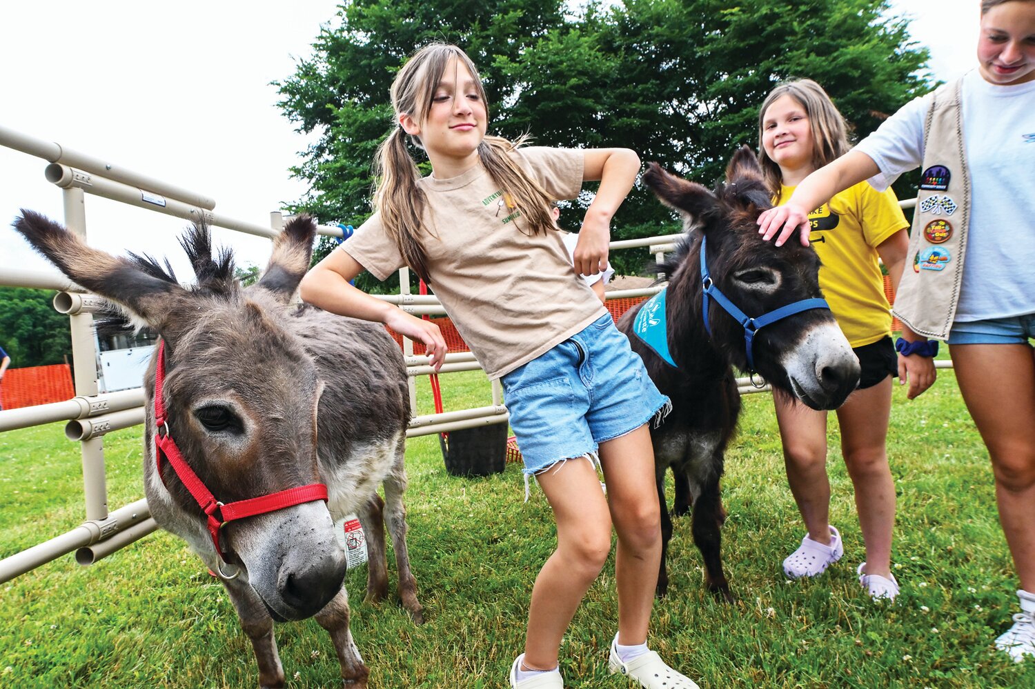 Heidi Cambura pets Greta, a rescue donkey from The Farmette, a Pipersville nonprofit that provides food, shelter and care for donkeys and horses who were mistreated, unwanted or slaughter-bound.