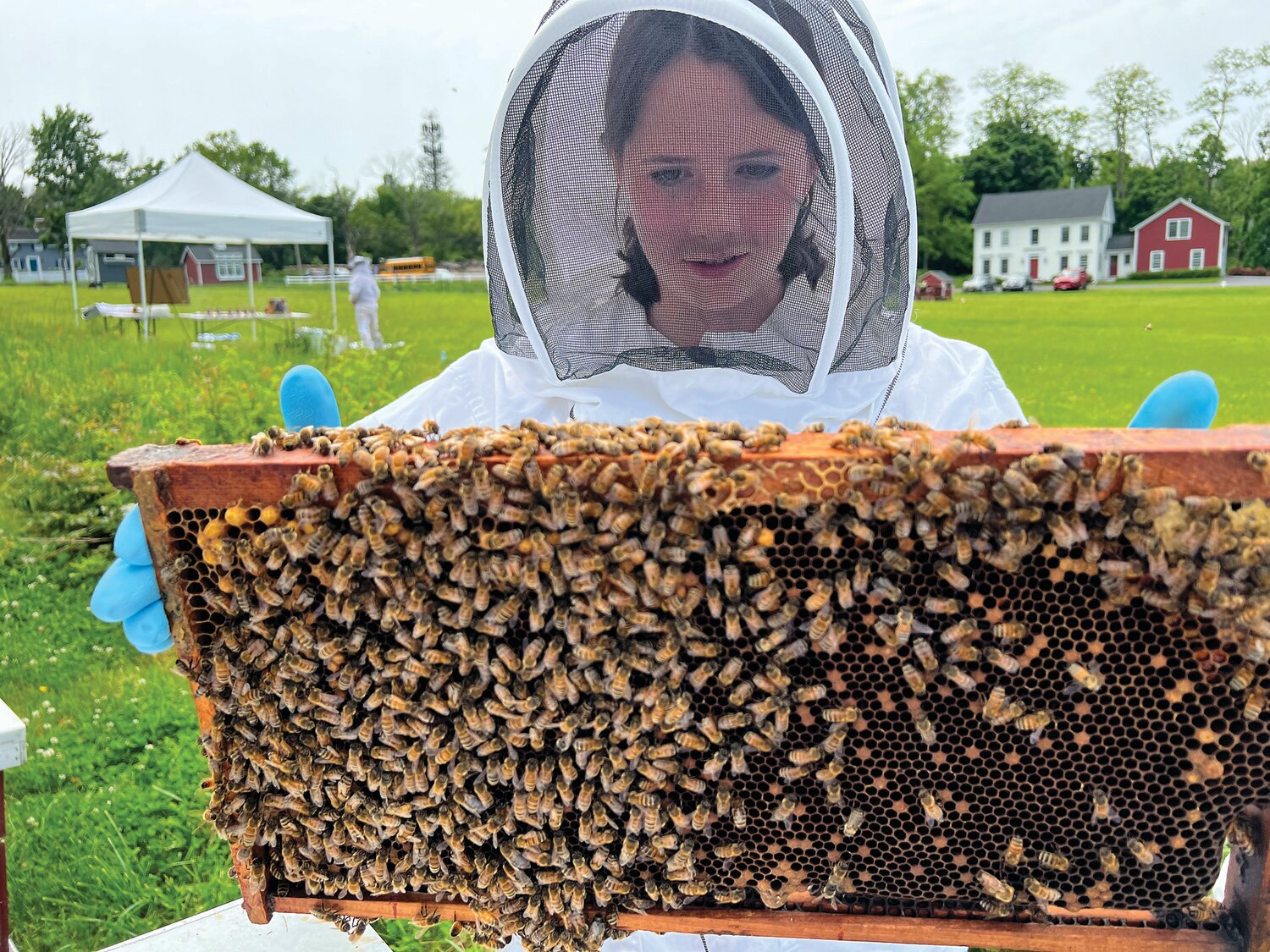 Through NextTerm, The Hun School of Princeton students are exploring how the honey bee is deeply connected to human culture and how humans can work to preserve its existence.