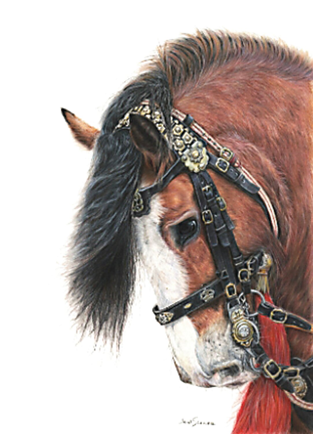 Janet Schuler’s “Perseus,” a work in colored pencil, was awarded first place in the “R.E.D. Show” People’s Choice contest and a runner-up in the show’s Artists’ Choice contest.