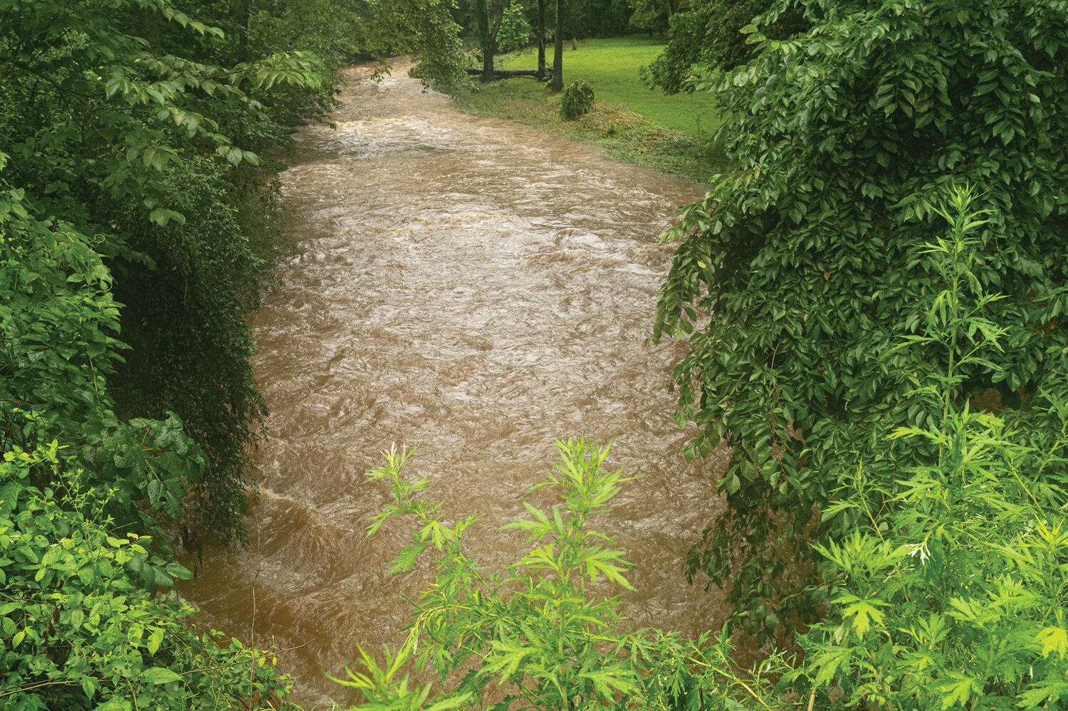 A rain-swollen creek rushes through Upper Makefield Sunday in the wake of a flash flood that claimed the lives of at least five people.