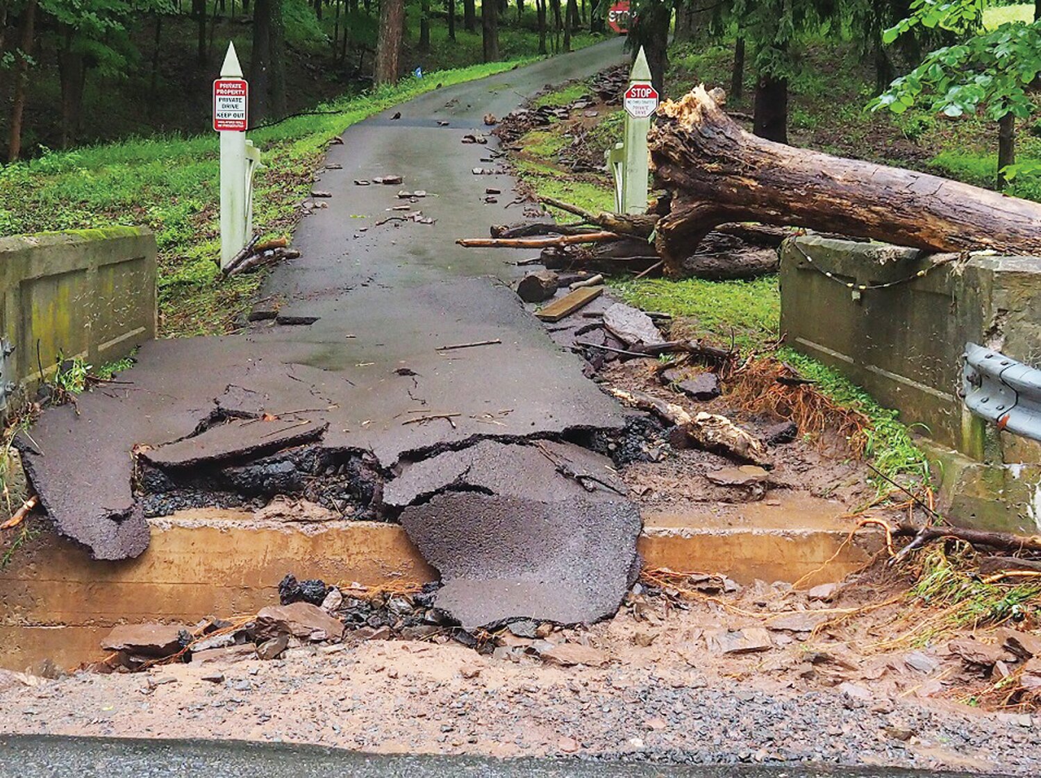 This weekend storm and flood downed a tree and damaged the driveway of an Upper Makefield residence.