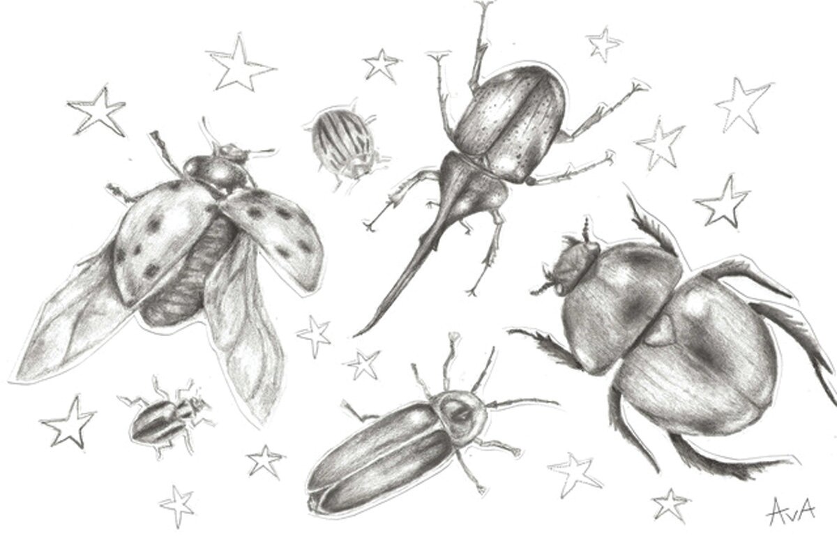 “Meeting of Insects” is by Ava Kanter.