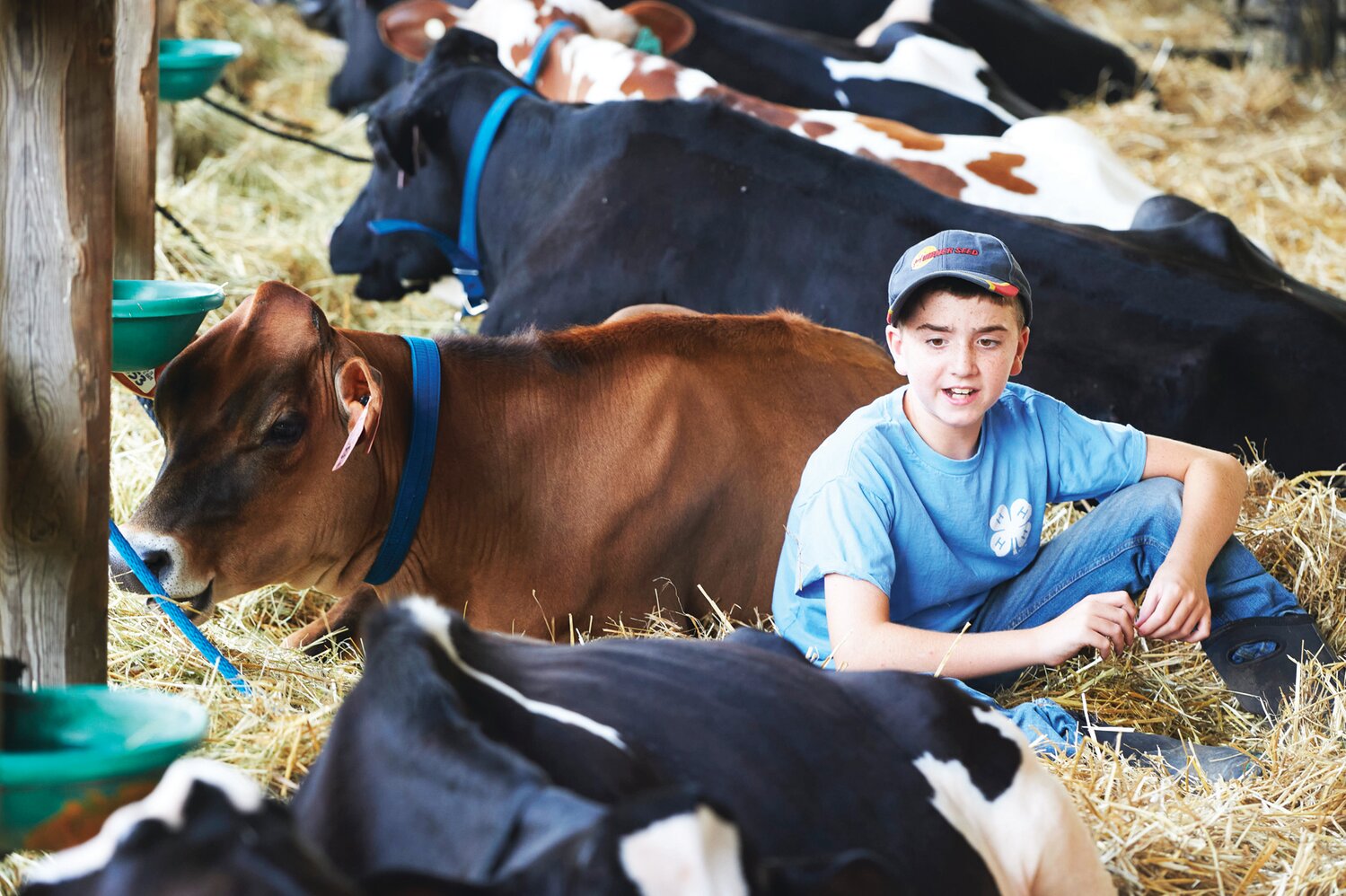 Logan Guillaume, 10, of Ivyland with his Jersey cow at the Middletown Grange Fair in Wrightstown Aug. 17.
