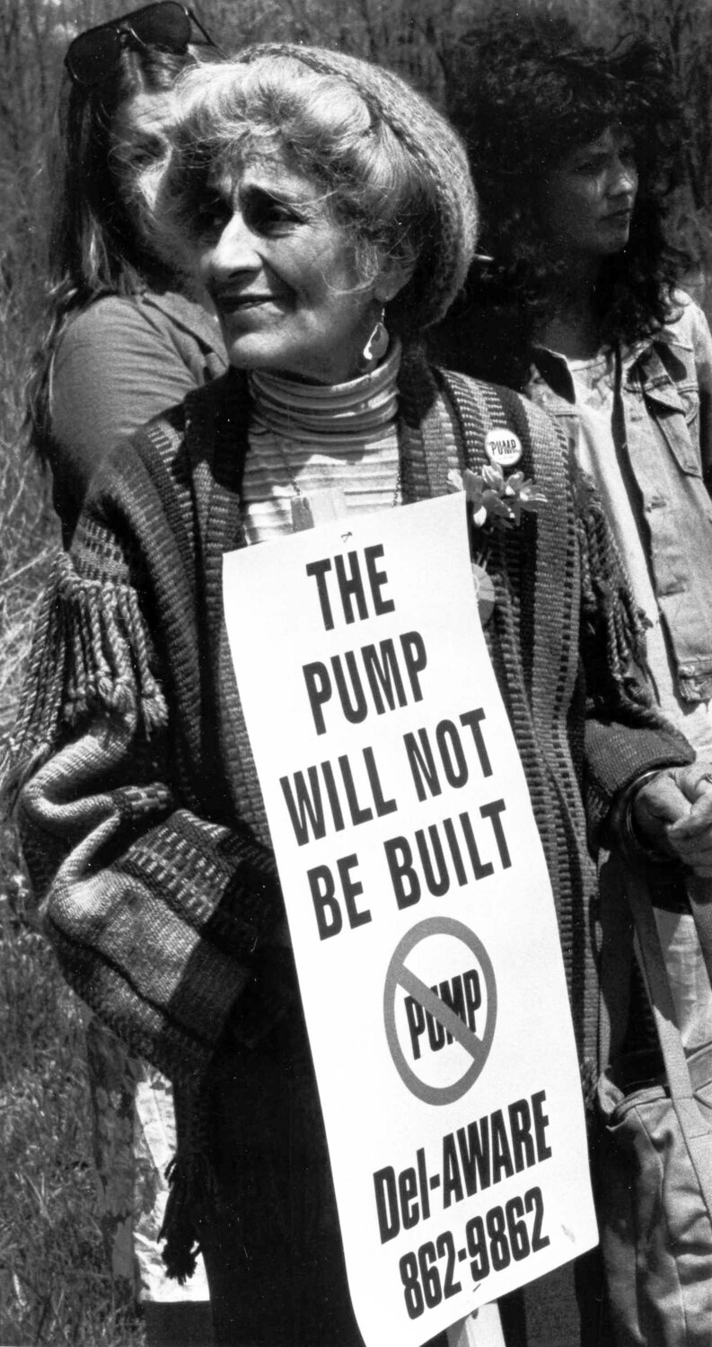 A woman protests the project known as the Pump.