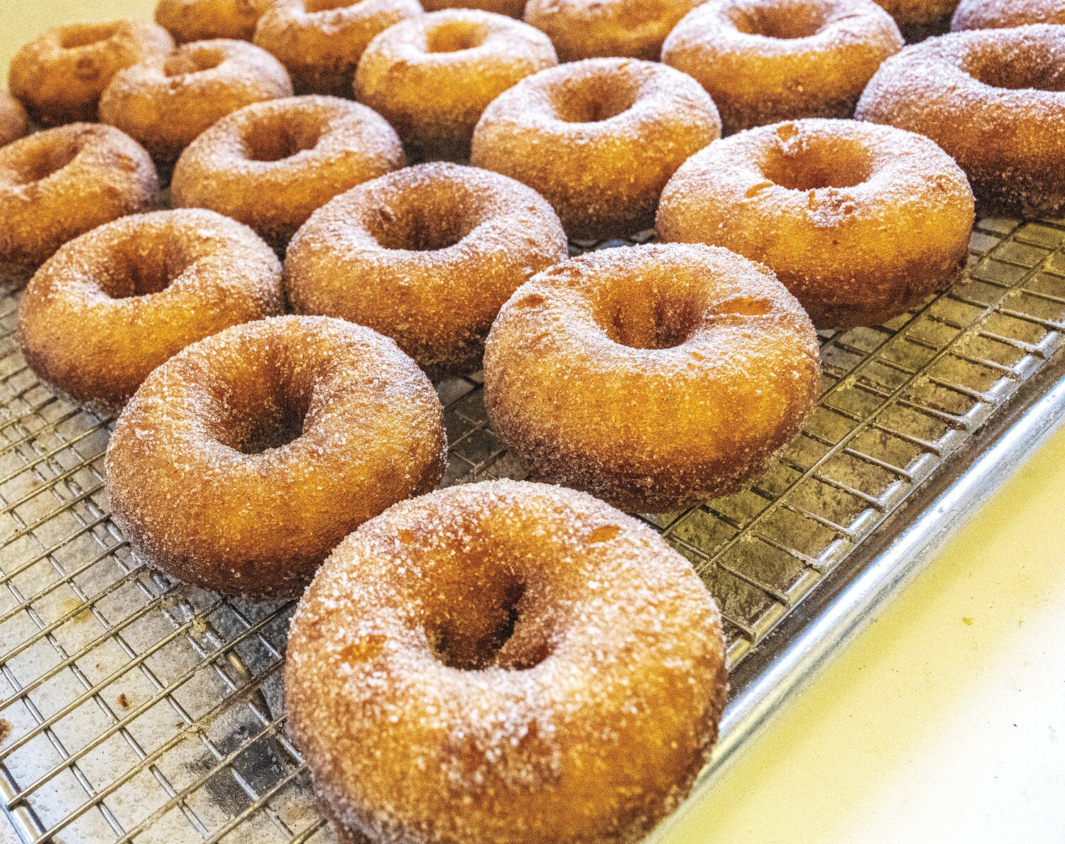 Cider Doughnuts are a favorite at Solebury Orchards, a popular destination for apple picking and family picnics in the fall.