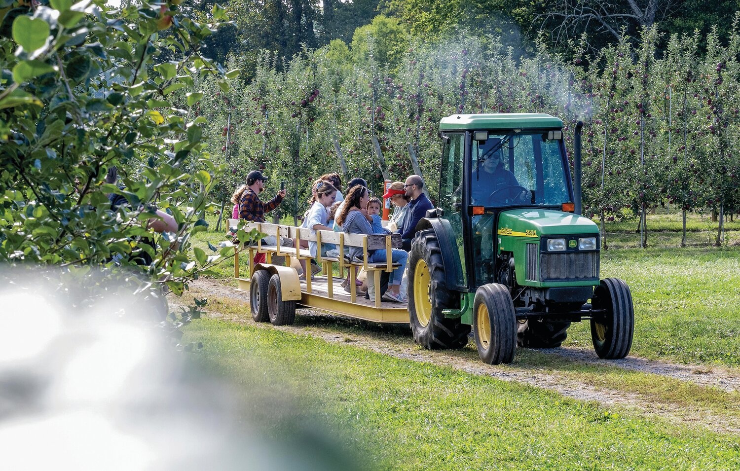 Apple season is underway at Solebury Orchards, and this week, those visiting can take a wagon ride to pick honeycrisp and crimson crisp varieties.