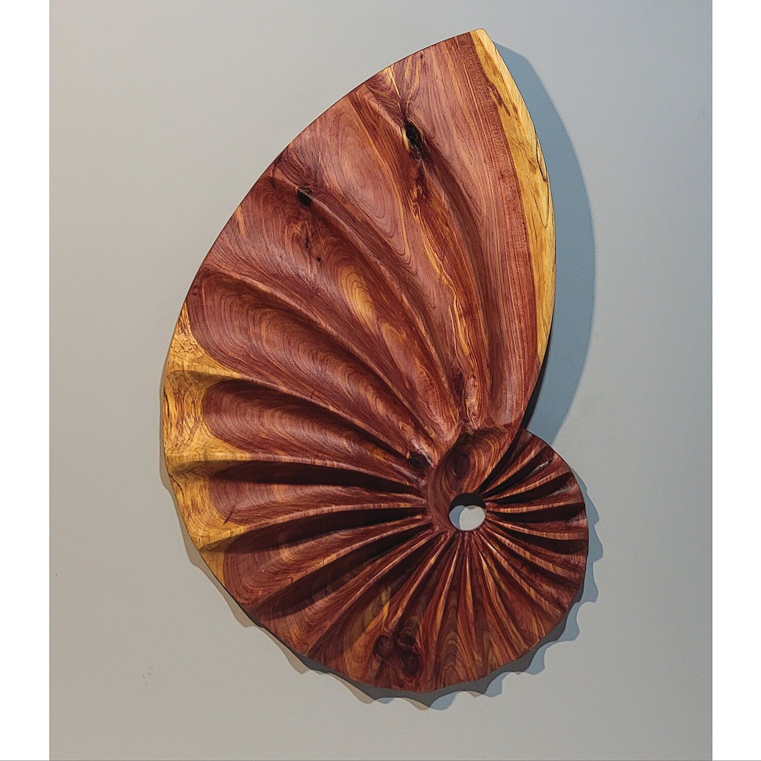 “Cedar Fibonacci Shell” is by Andy DiPetro.