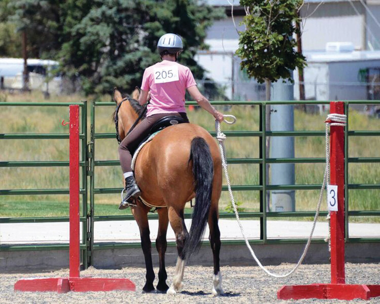 An equestrian demonstrates some of the skills that riders will work on during a two-day clinic in Working Equitation this month at the Bucks County Horse Park.